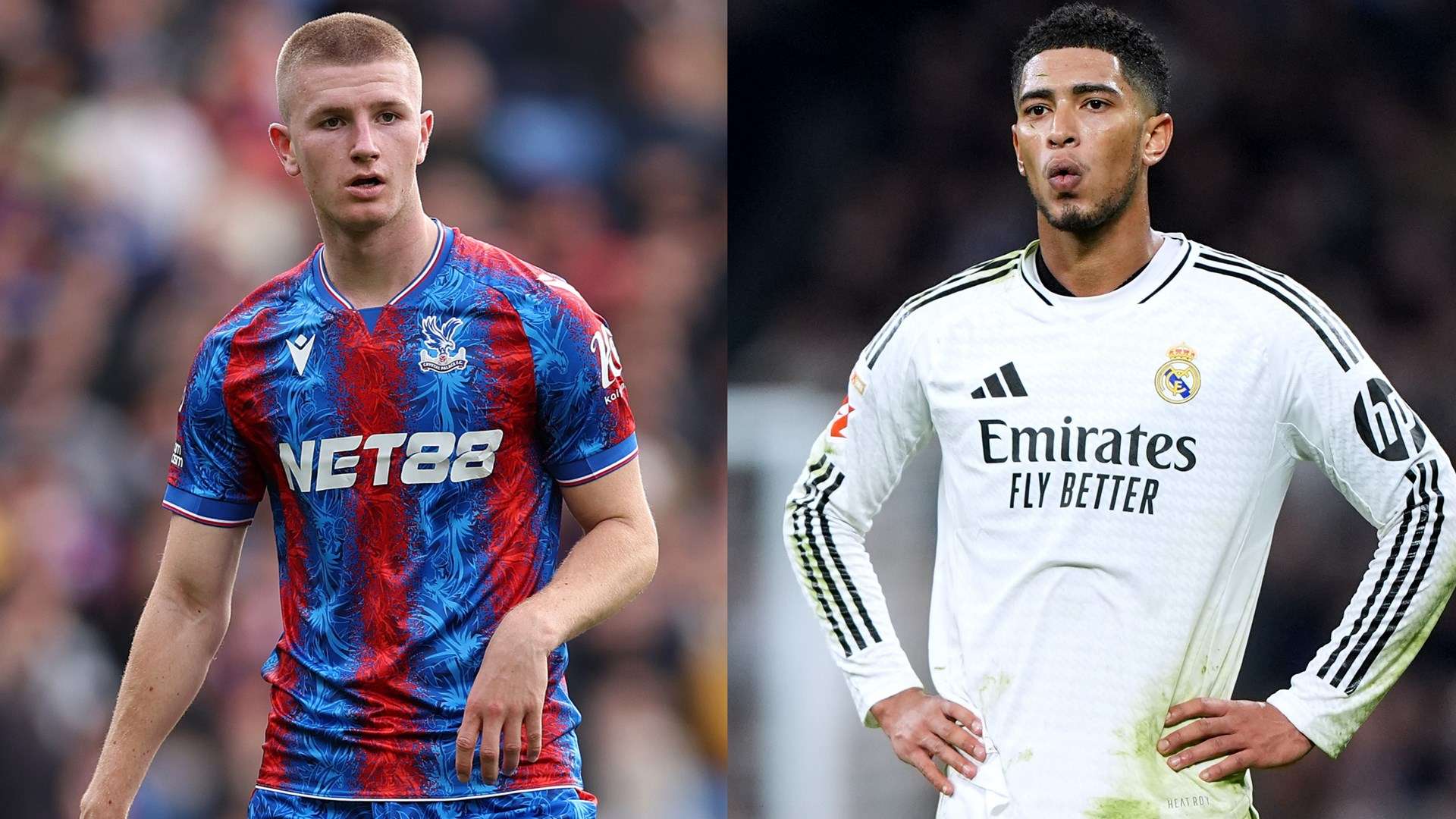 也为后世球 也为后世球